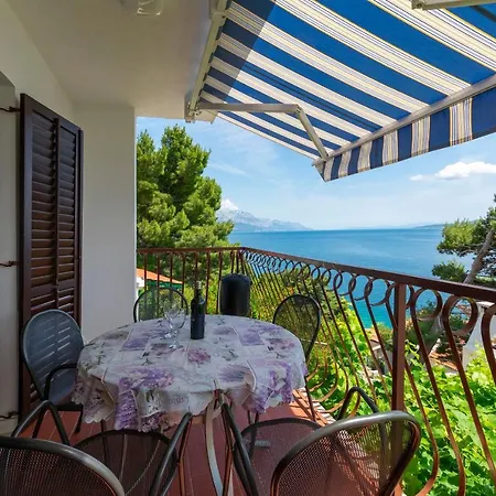 Apartament Djani *